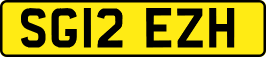 SG12EZH