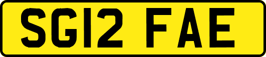 SG12FAE