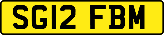 SG12FBM