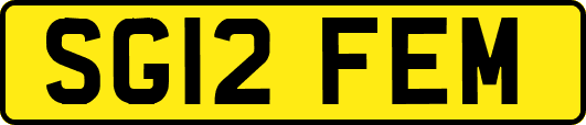 SG12FEM