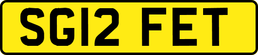 SG12FET