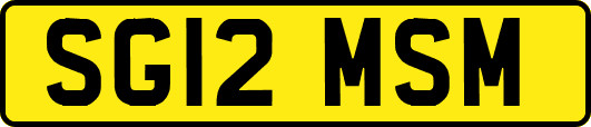 SG12MSM