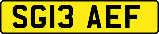 SG13AEF