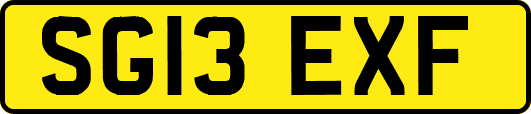 SG13EXF