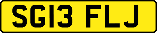 SG13FLJ