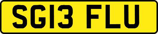 SG13FLU