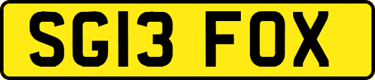 SG13FOX