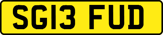 SG13FUD