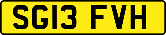 SG13FVH