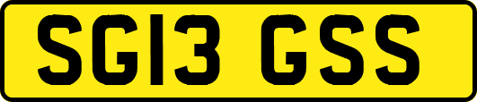 SG13GSS