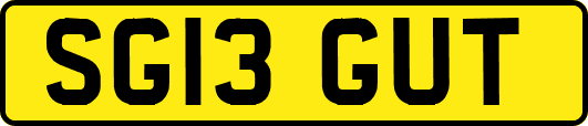SG13GUT
