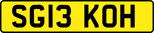 SG13KOH