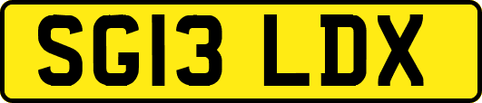 SG13LDX