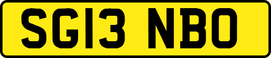 SG13NBO