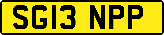 SG13NPP