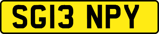 SG13NPY