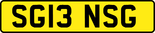 SG13NSG