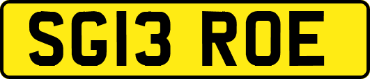 SG13ROE