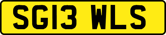 SG13WLS