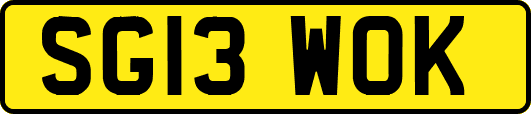 SG13WOK