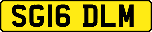 SG16DLM