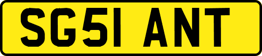 SG51ANT