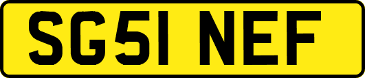 SG51NEF