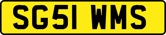 SG51WMS