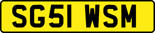 SG51WSM