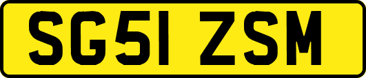 SG51ZSM
