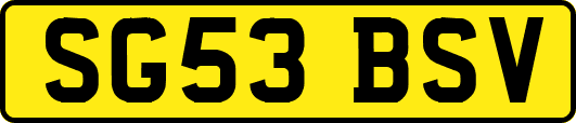 SG53BSV