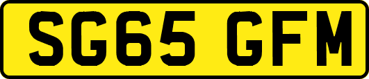 SG65GFM