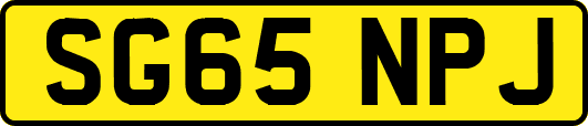 SG65NPJ