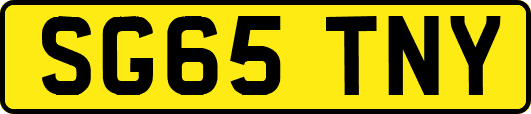 SG65TNY