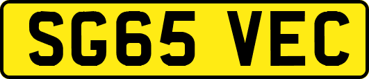 SG65VEC