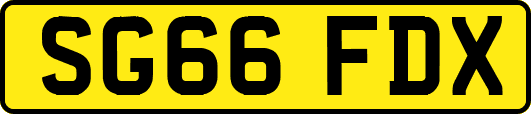 SG66FDX