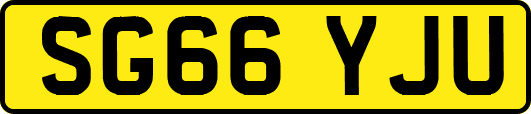 SG66YJU