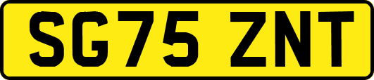SG75ZNT