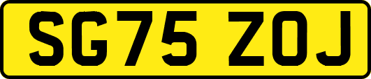 SG75ZOJ