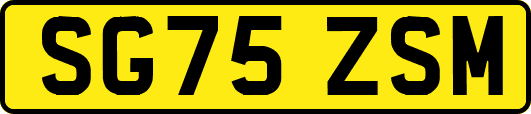 SG75ZSM