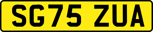 SG75ZUA