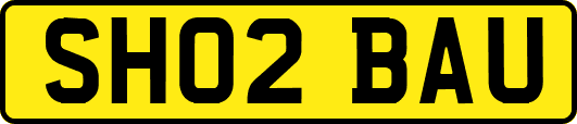 SH02BAU