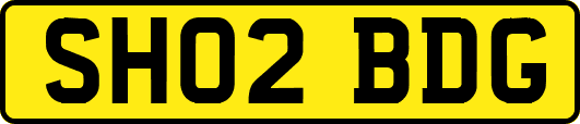 SH02BDG