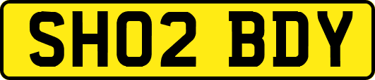 SH02BDY