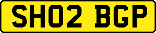 SH02BGP
