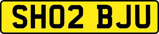 SH02BJU