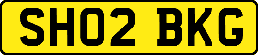SH02BKG