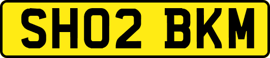 SH02BKM