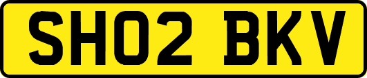 SH02BKV