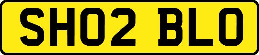 SH02BLO